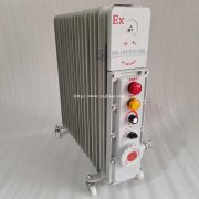 BDR-2000W3000W220V防爆电暖气油汀